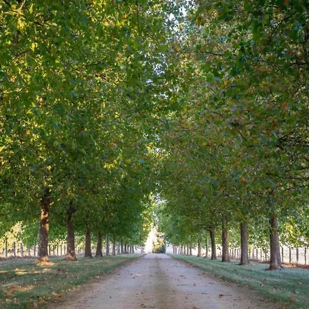 Romantic Loire Hideaway, Cleaning Included